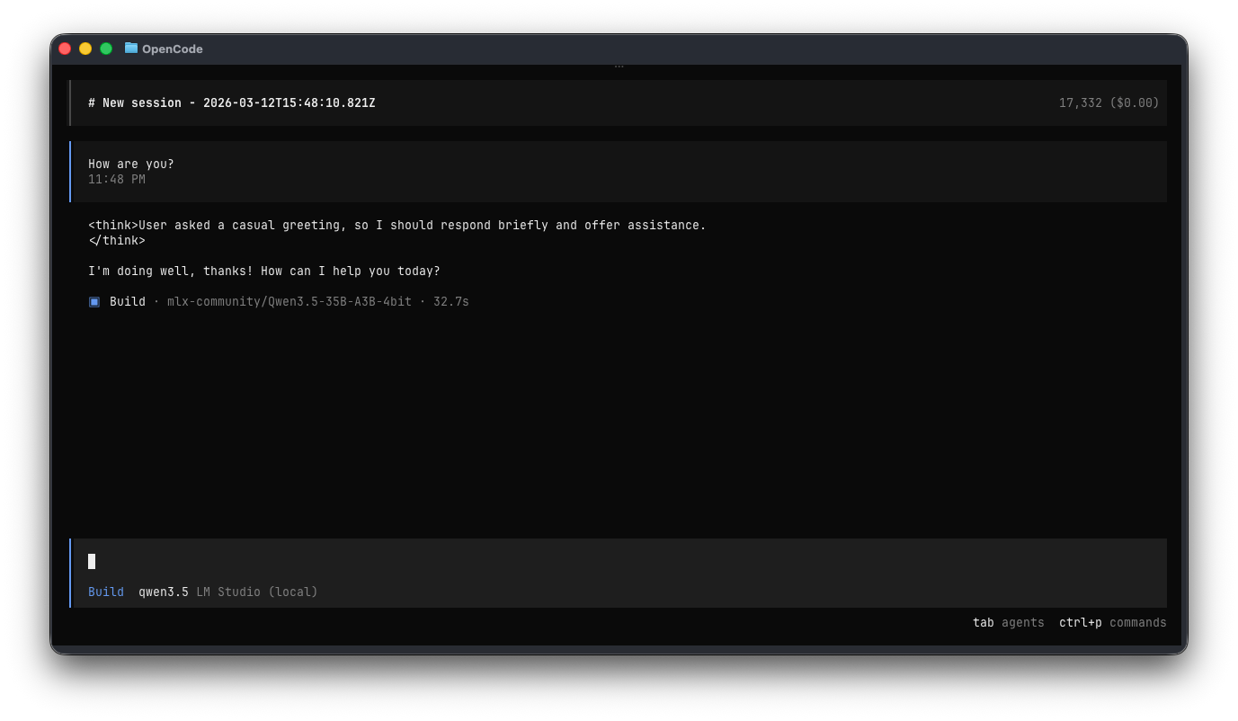 opencode with LM Studio Qwen3.5 response